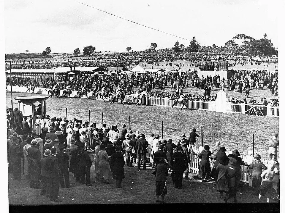 Australian Horse Racing: A Complete Beginner's Guide to Understanding the Sport