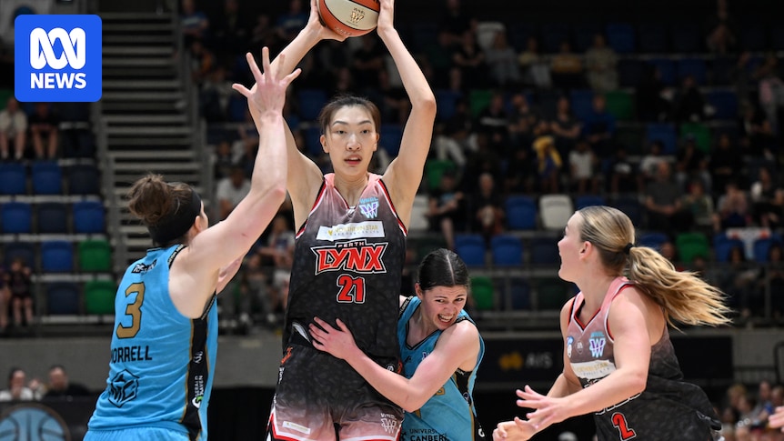 At 211cm tall, Han Xu's impact on WNBL has been seismic