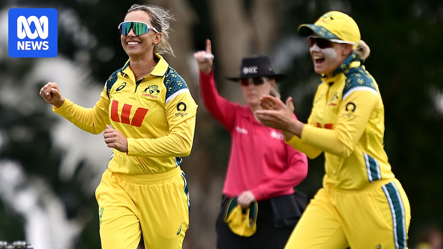 Aussies focused on repeating 'perfect performance' against India