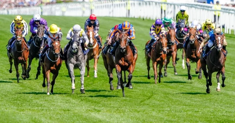 Tragedy Strikes Racing: Payne Stable Mourns Loss in Fatal Transport Accident