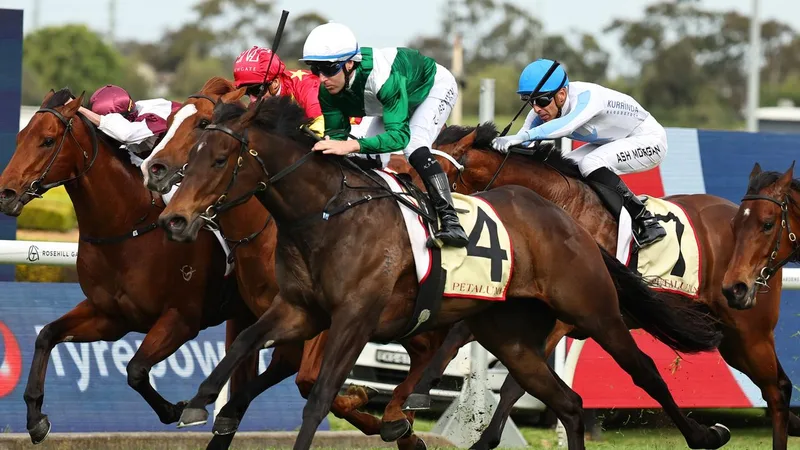 The Golden Slipper Curse: Why Champions Rarely Conquer the Australian Cup