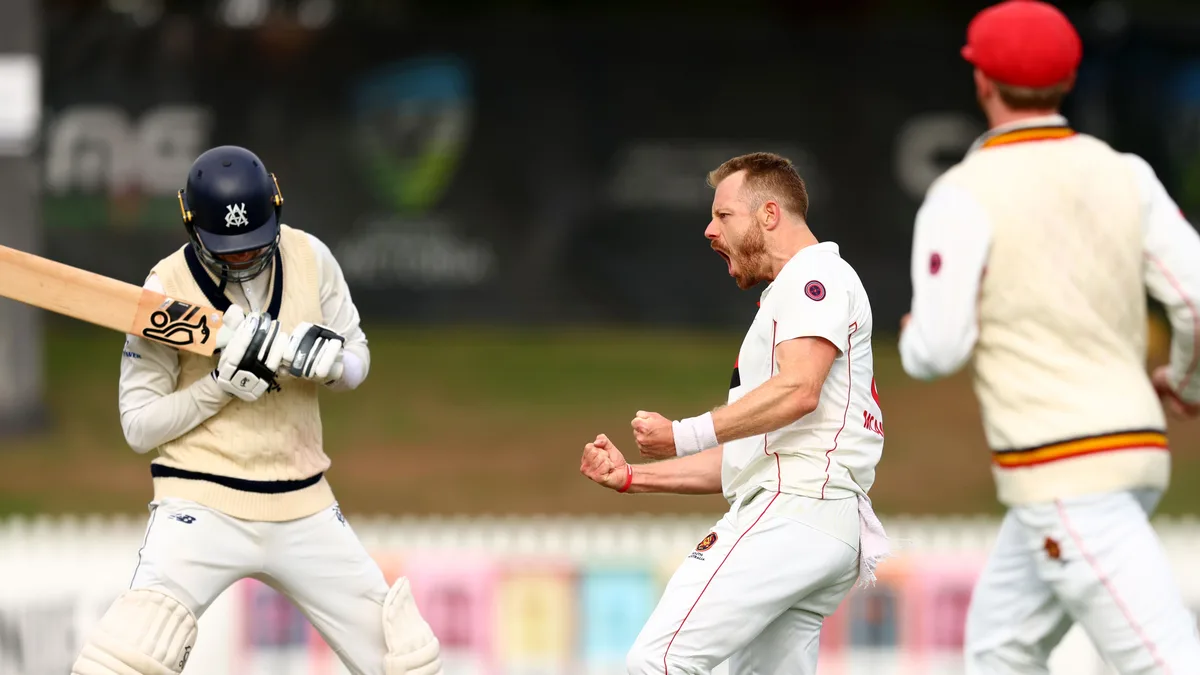 As it happened: SA fight back with ball under fading light