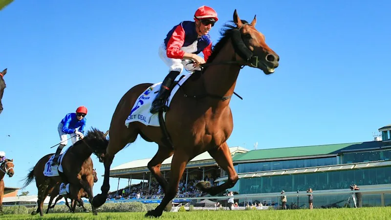 Race-by-race preview and tips for Tuesday’s Newcastle meeting