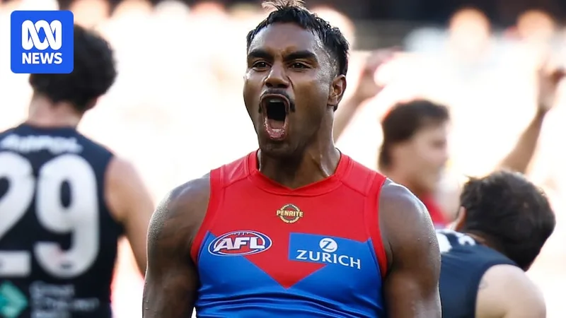 Demons star praised for reaching 'another level' with career-best form