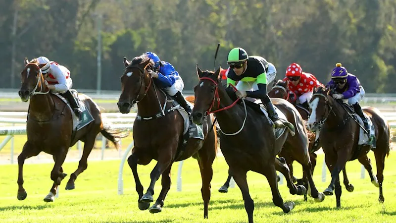 Race-by-race preview and tips for Gosford on Thursday