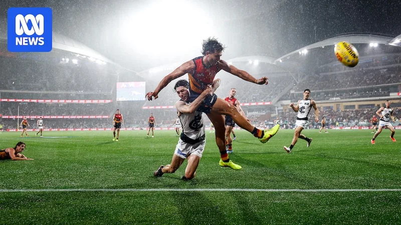 Crows get home against Blues in the wet in Gather Round opener