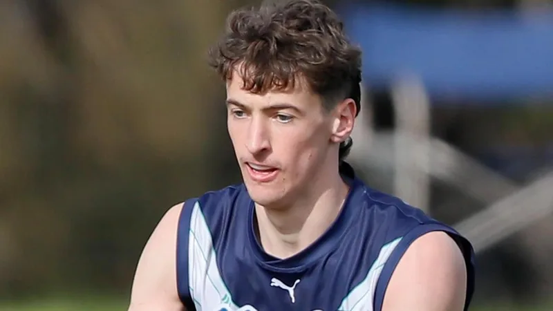 Rookie Louis Emmett set for AFL debut as Western Bulldogs chase fifth straight win