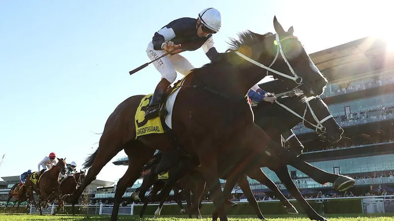 Rank outsider Changingoftheguard stuns field to win Sydney Cup at $61