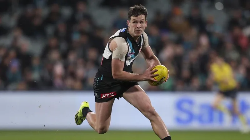 Port star 'disappointed' as umpire abuse charge upheld