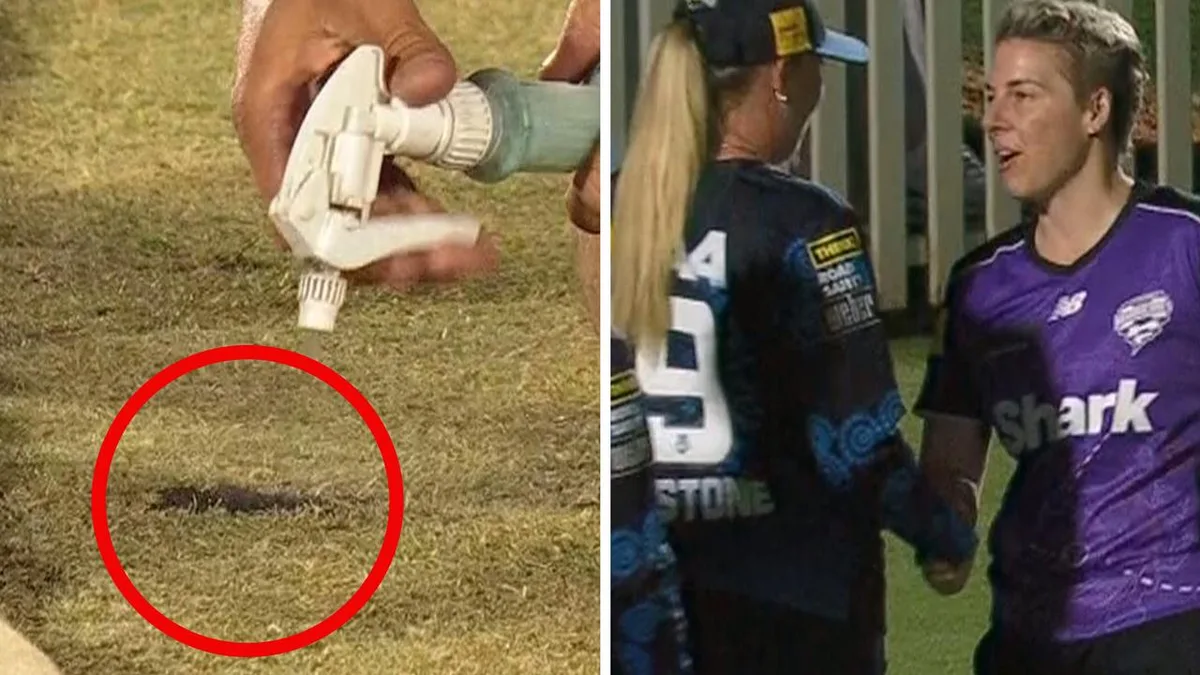 WBBL clash comes to ‘crazy’, abrupt end due to unthinkable reason