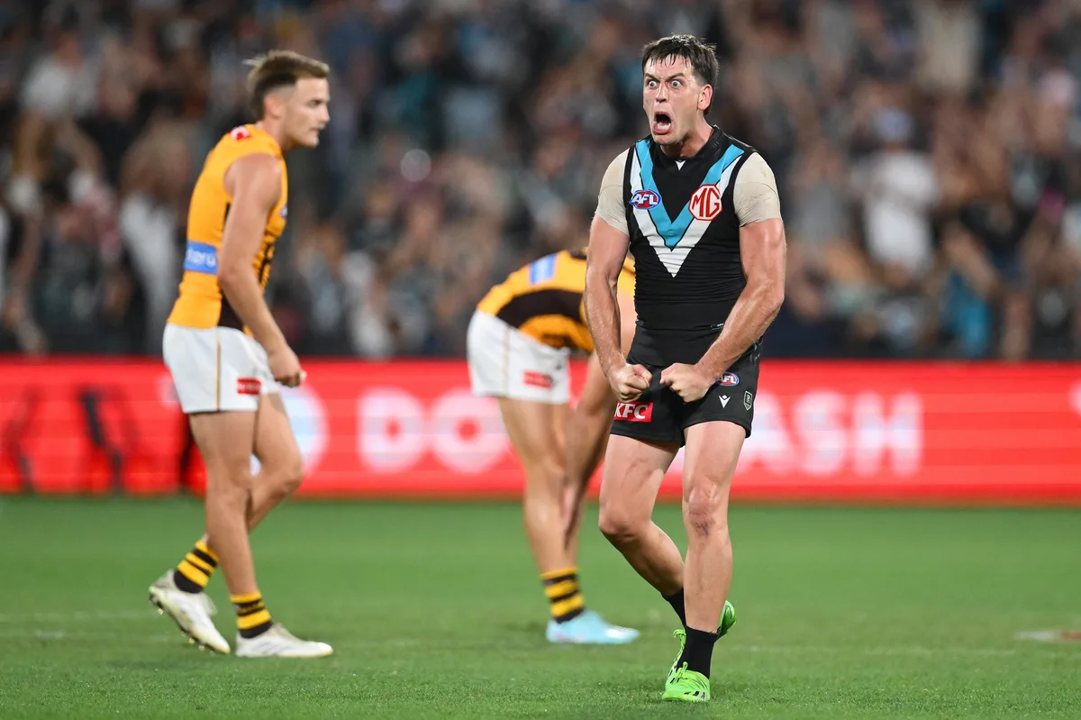 Hawks slam Tribunal 'debacle' as they prepare for Butters' response