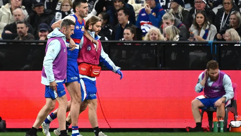 Dogs sweating on Darcy scans amid injury trauma