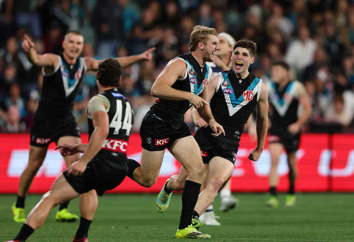 Power stun Cats with shock upset made worse by injury to key tall