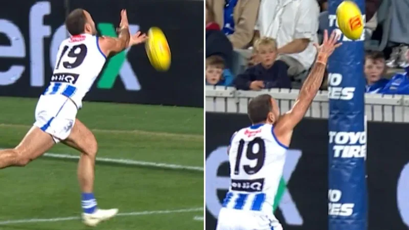 Alastair Clarkson rails against AFL review system after lengthy look at possible touch: ‘Who cares’