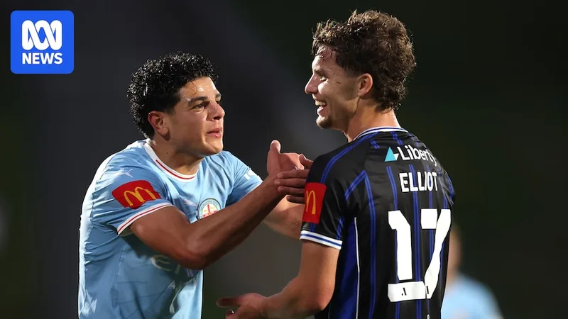 A-League finals result in mixed bag for World Cup bolters