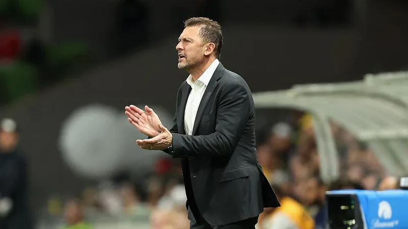US political climate won't worry Socceroos boss