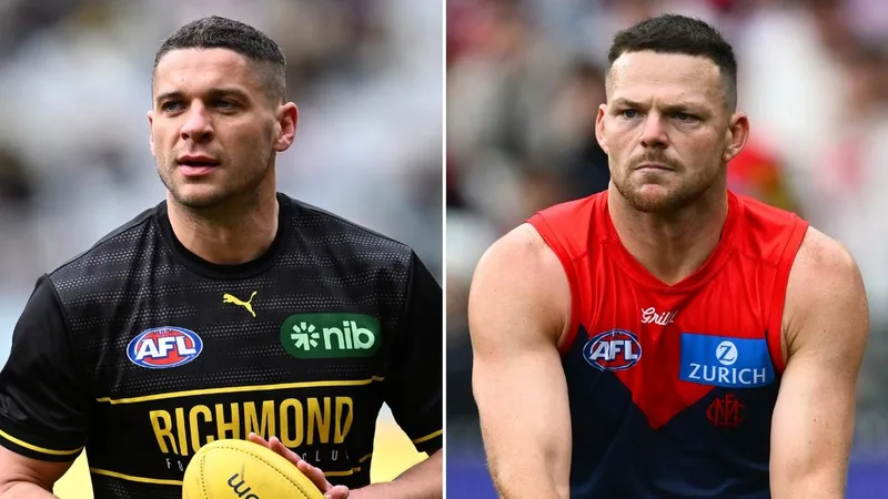 Police drop charges against AFL veterans Dion Prestia and Steven May over alleged Sorrento brawl