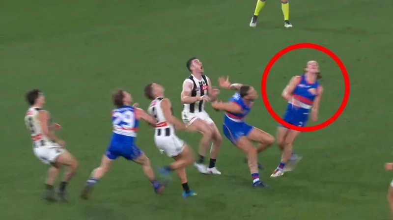 Unlikely hero Michael Sellwood produces match-saving mark as Dogs hold on against Pies