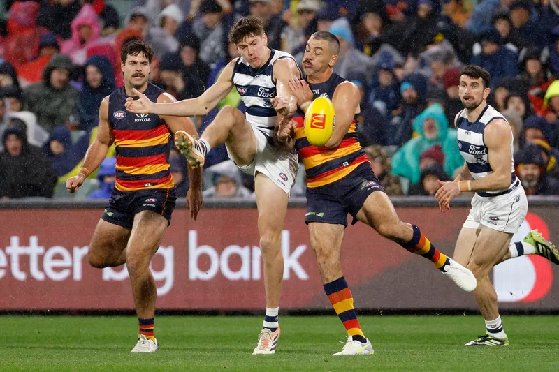 Crows to challenge one-match ban handed to veteran for push