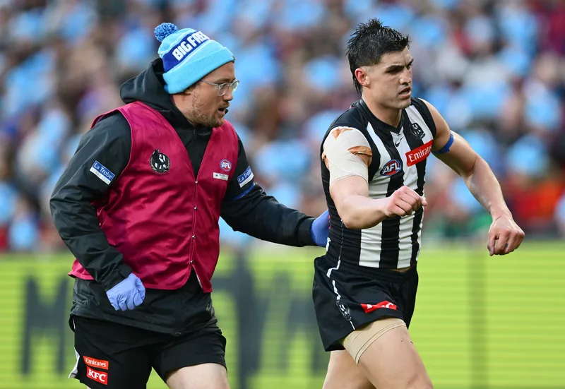 Medical room: The full AFL injury list, R14