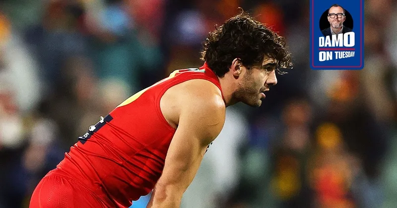 Petracca's Homecoming Is Poisoned Before It Even Begins