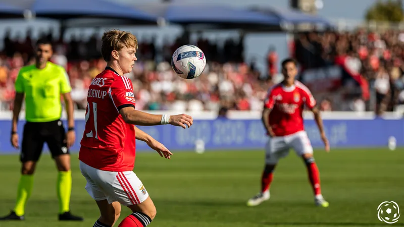 Andreas Schjelderup: Benfica to Tottenham
