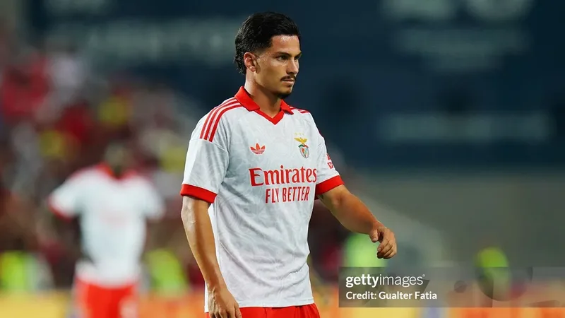 Franjo Ivanovic: Hull City to Benfica