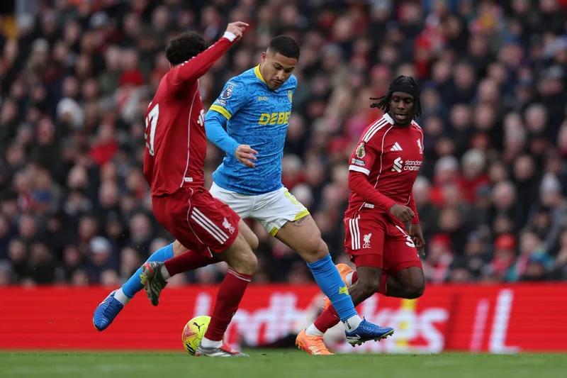 Joao Gomes: Unattached to Aston Villa